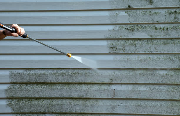 Best Roof Washing  in Grayling, MI