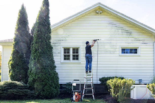 Best Soft Washing  in Grayling, MI